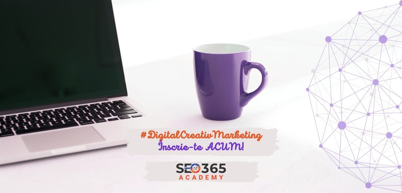 Stagiu de practica SEO 365-2