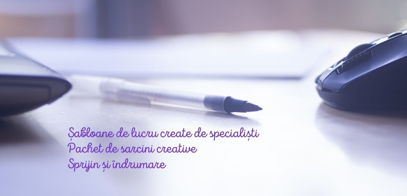 Stagiu de practica SEO 365-5