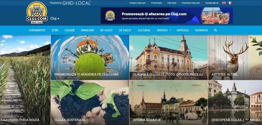 cluj seo
