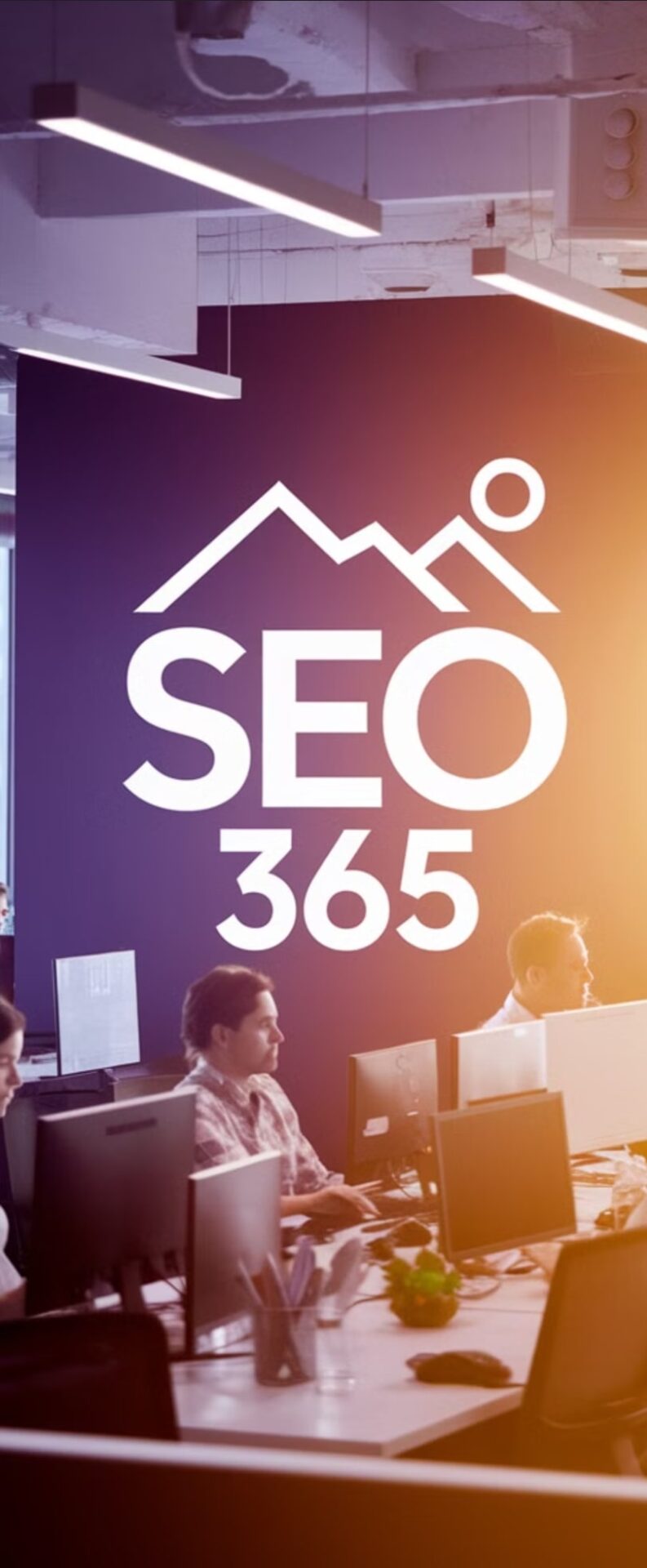 despre seo365